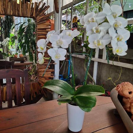Aunt & Uncle'S House Bed and Breakfast Chiang Mai Buitenkant foto